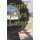 Eight Days Later - Introducing Boyd Aimes "a Different Solution" (Paperback): Steve Bishop