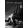 Flutter Echo - Living Within Sound (Paperback): David Toop
