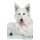 Swiss Shepherd Affirmations Workbook Swiss Shepherd Presents - Positive and Loving Affirmations Workbook. Includes: Mentoring...