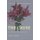 The Cause (Paperback): Sriharsha G