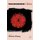 Transgender China (Hardcover): H. Chiang