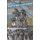 Creative Transformations - Travels and Translations of Brazil in the Americas (Paperback): Krista Brune