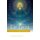 The Grail (Paperback): Lars Muhl