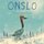 Onslo (Paperback): A K Johnston