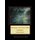 Morning on the Seine VIIII - Monet Cross Stitch Pattern (Large print, Paperback, Large type / large print edition): Kathleen...