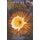 Caribbeana (Paperback, 2nd ed.): Thomas W. Krise