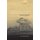 Mystical Encounters with the Natural World - Experiences and Explanations (Hardcover, New): Paul Marshall