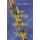 The Theology Of Salvation - From Genesis To Revelation (Paperback): Stephen Paul Burke