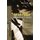 2 Peter, 2 &3 John, Jude (Paperback): Warren Wiersbe
