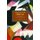 Dialectic Of The Ideal: Evald Ilyenkov And Creative Soviet Marxism - Historical Materialism, Volume 60 (Paperback): Alex...