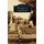 Elmwood Cemetery (Hardcover): Kimberly McCollum, William Bearden