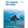 The Antarctic Dive Guide - Fully Revised and Updated Third Edition (Paperback, 3rd Revised edition): Lisa Eareckson Kelley