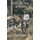 Men of the Jungle (Paperback): Ion Idriess