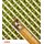Sowing ideas. Harvesting the future. (Hardcover): Delius Klasing