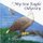 My Sea Eagle Odyssey - New Edition (Paperback): R Leonard Hollands