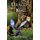 DragonKin (Paperback): Maria E. Schneider