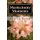 Mastectomy Moments - of Asymmetrical Me (Paperback): Judith Ryan