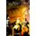 The Brant Boys (Hardcover): P. R. Westlund