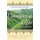 An Unexpected Light - Travels in Afghanistan (Paperback): Jason Elliot