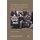 The German Question and the International Order, 1943-48 (Paperback, 1st ed. 2010): N. Lewkowicz