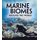 Marine Biomes Around the World (Exploring Earths Biomes) (Paperback): Phillip Simpson