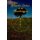 The Druidic Order of the Pendragon - The Teachings and Rites of an Ancient Order (Paperback): Colin Robertson
