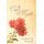 The Crepe Myrtle (Hardcover): Charles B. Packard
