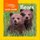 Look and Learn: Bears (Board book): National Geographic Kids