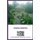 Financial Reporting - Reporting (Paperback): David Ackah