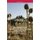 The Search for Security in Post-Taliban Afghanistan (Hardcover): Cyrus Hodes, Mark Sedra