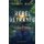 Rebel Betrayed (Hardcover): Shauna Black