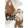 The Code (Hardcover): Jay Curtis