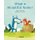 What a Beautiful Name! (Hardcover): Sulan Tang