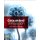 Grounded Innovation - Strategies for Creating Digital Products (Paperback): Lars Erik Holmquist