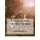 A Narrative of the Negro - (Large Print Edition) (Large print, Paperback, Large type / large print edition): Leila Amos...