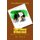 The Pathway of Waterdale - Curiosity Kills the Cat... (Paperback): Joe Ricci