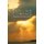 Second Coming - Awakening the God Within (Paperback): Sandra Diaz