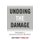 Undoing the Damage - Repairing a Broken School District (Paperback): Antonio Corrales