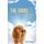 The Hobo and the Dog - A Tale of Prayer, Pets, and Healing (Paperback): Sr. Tony B. Ratliff