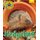 Wildlife Watchers: Hedgehog 2017 (Paperback): Ruth Owen