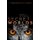 Secret Worlds - The extraordinary senses of animals (Hardcover): Martin Stevens