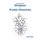 Structure in Protein Chemistry (Hardcover, 2nd edition): Jack Kyte