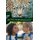 Ark for the Brokenhearted - Sequel to Once to Every Man (Hardcover): Elizabeth Cain