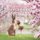 Fun Children's Fairy Tales - 4 Books in 1 (Paperback): Wild Fairy