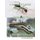 A Children's Book of Insects from A-Z - An introduction to Entomology using rhyme for ages 6 and up.. (Paperback): Garry...