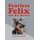 Fearless Felix and His Heroes (Hardcover): David Volk