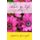 Back to Life - How I Overcame the Obstacles of Christian Dating (Paperback): Stephanie Genwright