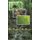 The People of the Forest - A Rain Forest Musical (Hardcover): Roselina Johari MD Khir