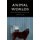 Animal Worlds - Film, Philosophy and Time (Hardcover): Laura McMahon