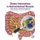 Dietary Interventions in Gastrointestinal Diseases - Foods, Nutrients, and Dietary Supplements (Paperback): Ronald Ross Watson,...